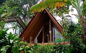 donk losog bedugul camp